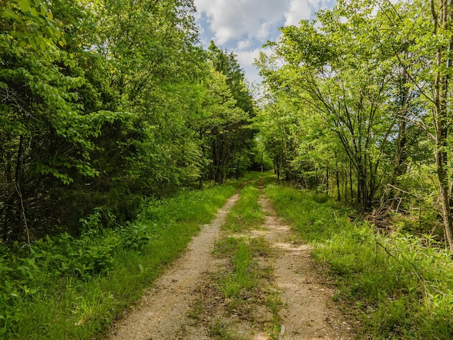 0 Iron Bridge Rd, Columbia, TN 38401
