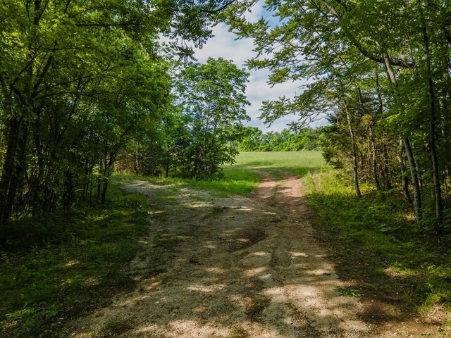 0 Iron Bridge Rd, Columbia, TN 38401