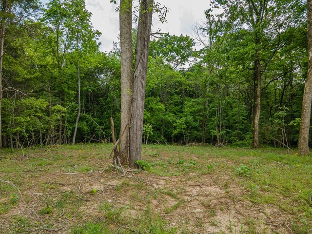 0 Iron Bridge Rd, Columbia, TN 38401