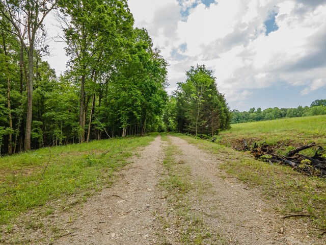 0 Iron Bridge Rd, Columbia, TN 38401