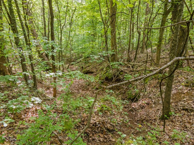 0 Iron Bridge Rd, Columbia, TN 38401