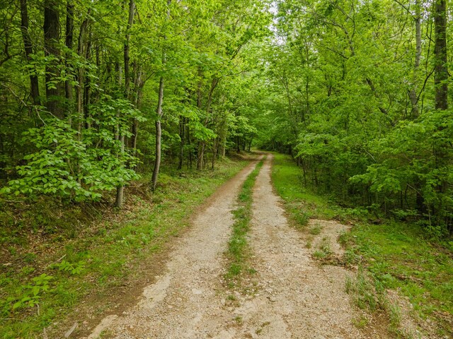 0 Iron Bridge Rd, Columbia, TN 38401