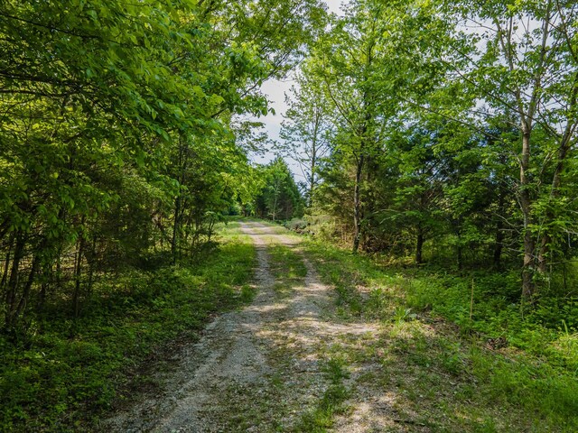 0 Iron Bridge Rd, Columbia, TN 38401