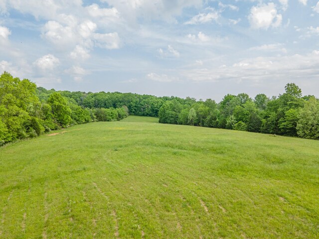 0 Iron Bridge Rd, Columbia, TN 38401