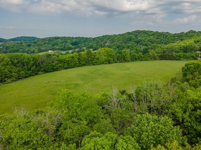 0 Iron Bridge Rd, Columbia, TN 38401