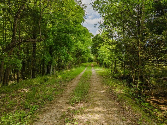0 Iron Bridge Rd, Columbia, TN 38401