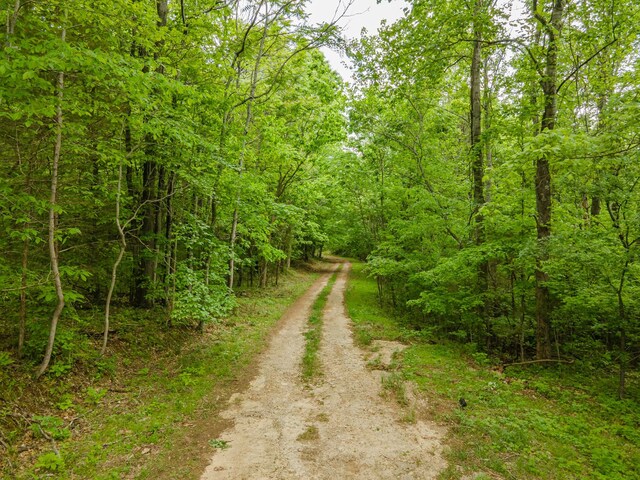 0 Iron Bridge Rd, Columbia, TN 38401