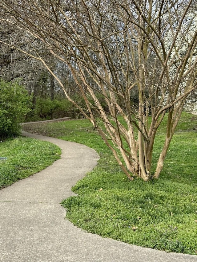 208 Roberta Dr, Hendersonville, TN 37075 - surrounding community with a yard