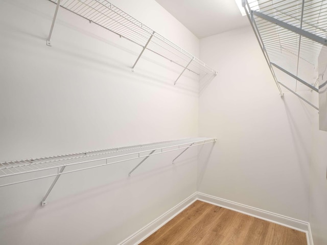 3038 Oxford Glen Dr, Franklin, TN 37067 - walk in closet featuring light wood-type flooring