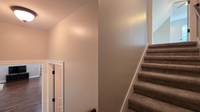 109 Coteswood Ct, Columbia, TN 38401 - stairway featuring wood finished floors and baseboards