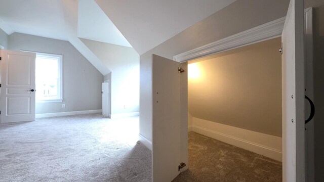 109 Coteswood Ct, Columbia, TN 38401 - additional living space with lofted ceiling, carpet flooring, and baseboards