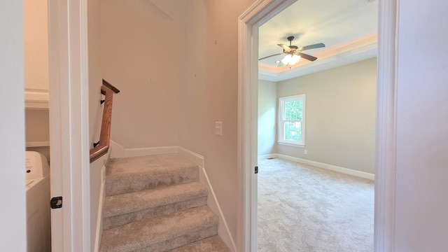 109 Coteswood Ct, Columbia, TN 38401 - stairway with carpet flooring, ceiling fan, and baseboards