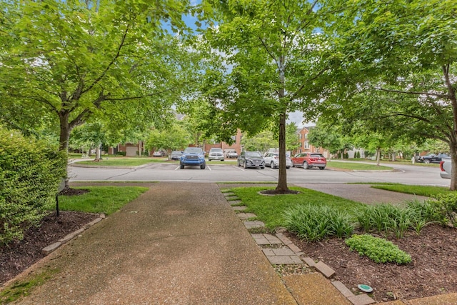 664 Huffine Manor Cir, Franklin, TN 37067 - view of yard