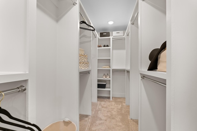 725 N Highland Ave, Murfreesboro, TN 37130 - walk in closet featuring light carpet