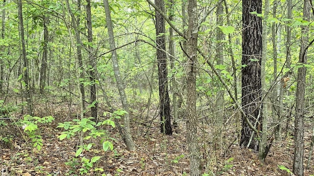 6070 Raulston Falls Rd, Jasper, TN 37347