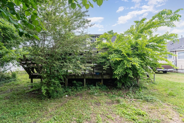 104 Lowe St, Ashland City, TN 37015 - view of green lawn