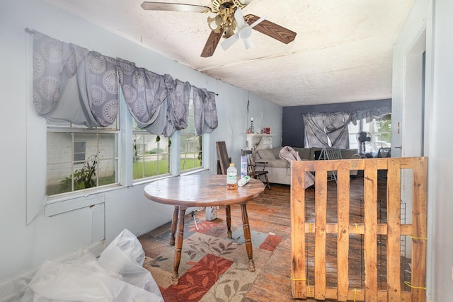 104 Lowe St, Ashland City, TN 37015 - living room featuring a ceiling fan and wood finished floors