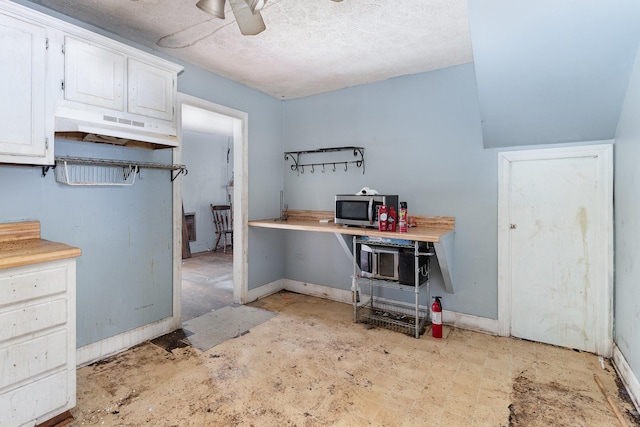 104 Lowe St, Ashland City, TN 37015 - kitchen featuring under cabinet range hood, stainless steel microwave, white cabinets, a ceiling fan, and baseboards