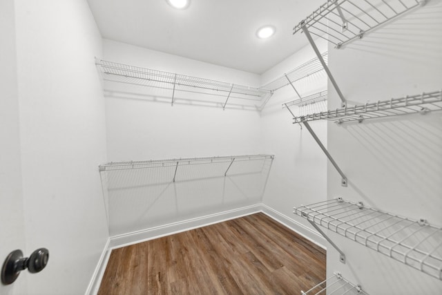 101 Henry Thompson Rd, Taft, TN 38488 - spacious closet featuring dark wood-style floors