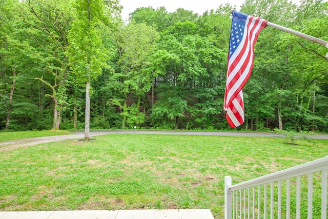 101 Henry Thompson Rd, Taft, TN 38488 - view of green lawn featuring driveway