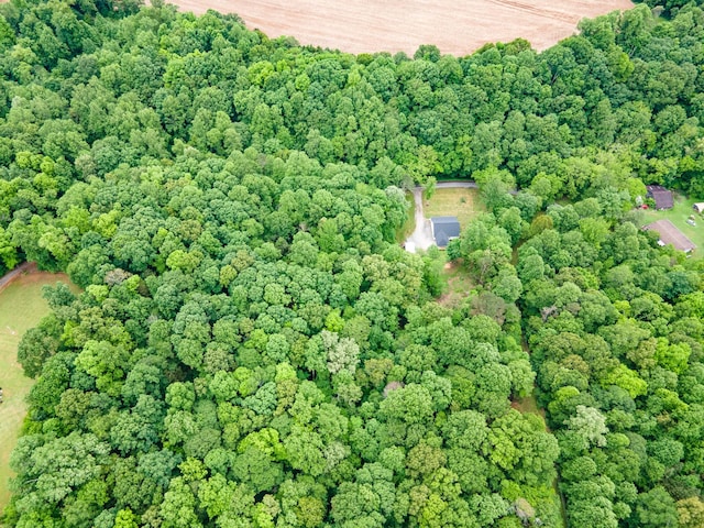101 Henry Thompson Rd, Taft, TN 38488 - bird's eye view