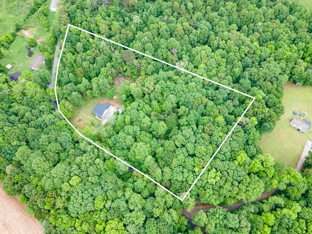 101 Henry Thompson Rd, Taft, TN 38488 - aerial overview of property's location featuring property boundaries highlighted and a heavily wooded area