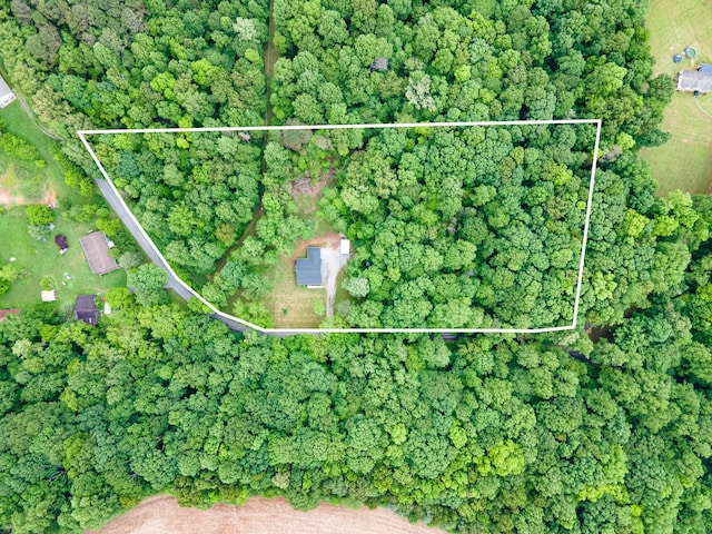101 Henry Thompson Rd, Taft, TN 38488 - aerial overview of property's location with property parcel outlined