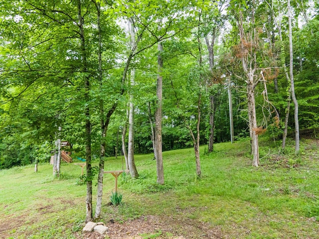 101 Henry Thompson Rd, Taft, TN 38488 - view of local wilderness