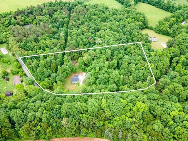101 Henry Thompson Rd, Taft, TN 38488 - aerial overview of property's location featuring property parcel outlined and a forest