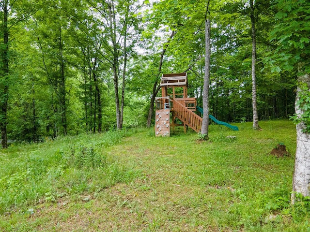 101 Henry Thompson Rd, Taft, TN 38488 - view of play area