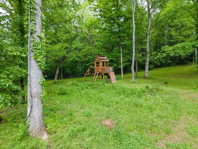101 Henry Thompson Rd, Taft, TN 38488 - view of green lawn with a playground and a view of trees