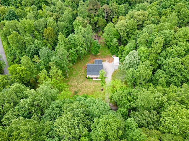 101 Henry Thompson Rd, Taft, TN 38488 - view of subject property featuring a forest