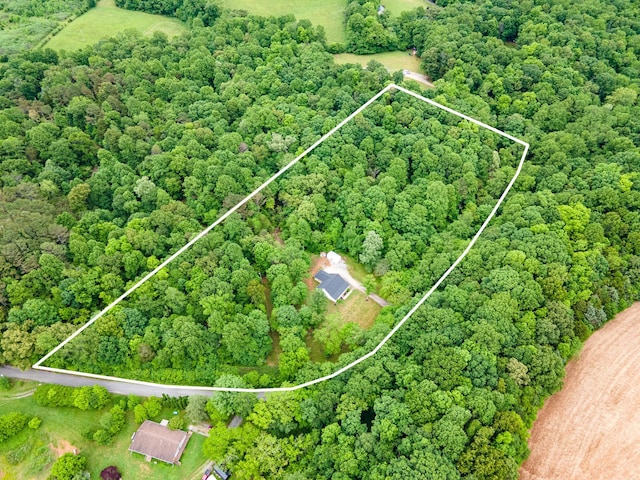 101 Henry Thompson Rd, Taft, TN 38488 - aerial view of property's location featuring property parcel outlined and a heavily wooded area