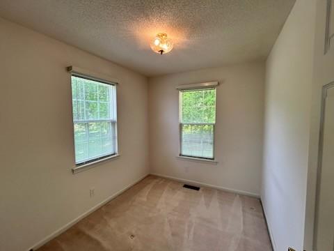 1368 Pleasant Hill Rd, Lynchburg, TN 37352 - unfurnished room with healthy amount of natural light, light carpet, a textured ceiling, and baseboards