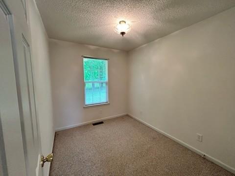 1368 Pleasant Hill Rd, Lynchburg, TN 37352 - unfurnished room with a textured ceiling, carpet floors, and baseboards