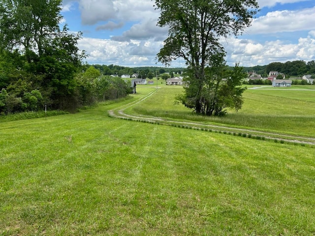 1368 Pleasant Hill Rd, Lynchburg, TN 37352 - view of green lawn