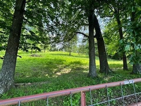 1368 Pleasant Hill Rd, Lynchburg, TN 37352 - view of yard