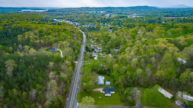 9039 Dallas Hollow Rd, Soddy Daisy, TN 37379 - view of property location with a heavily wooded area