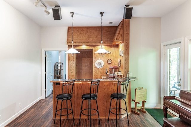 6737 Autumnwood Dr, Nashville, TN 37221 - indoor bar featuring dark wood-style flooring, baseboards, pendant lighting, and track lighting
