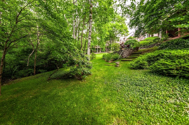 6737 Autumnwood Dr, Nashville, TN 37221 - view of green lawn