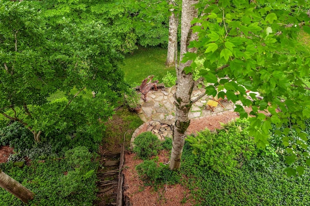 6737 Autumnwood Dr, Nashville, TN 37221 - view of yard