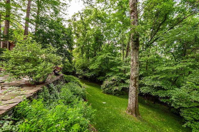 6737 Autumnwood Dr, Nashville, TN 37221 - view of green lawn