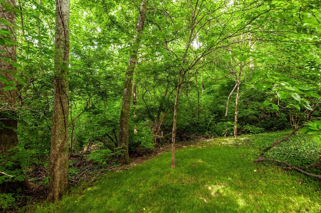6737 Autumnwood Dr, Nashville, TN 37221 - view of grassy yard with a forest view