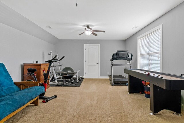 1013 Kendras Run, Gallatin, TN 37066 - photo 37