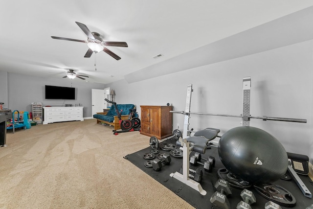 1013 Kendras Run, Gallatin, TN 37066 - photo 36