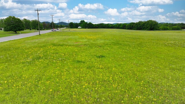 1 Sledge Rd, Christiana, TN 37037