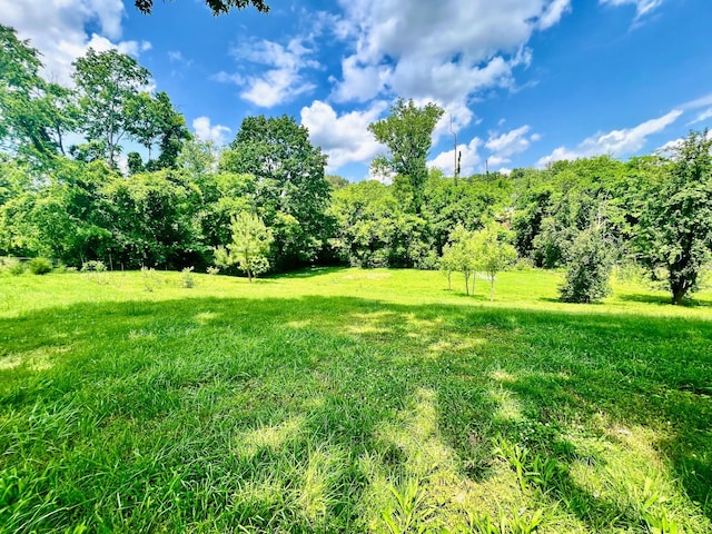 310 Leo Ct, Nashville, TN 37211 - photo 16