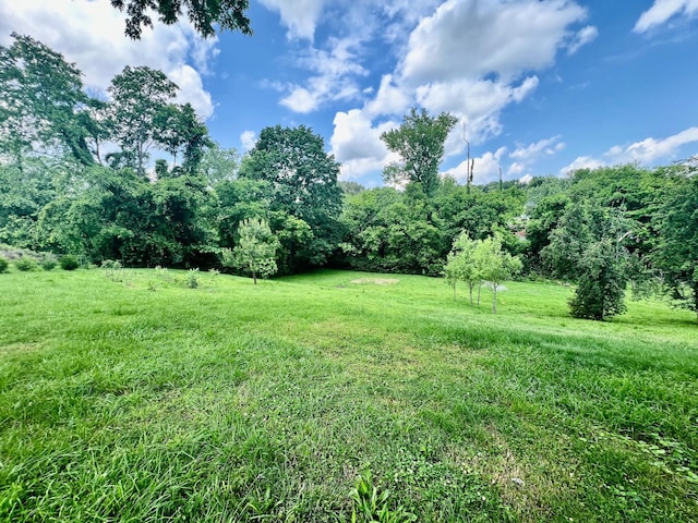 310 Leo Ct, Nashville, TN 37211 - photo 17