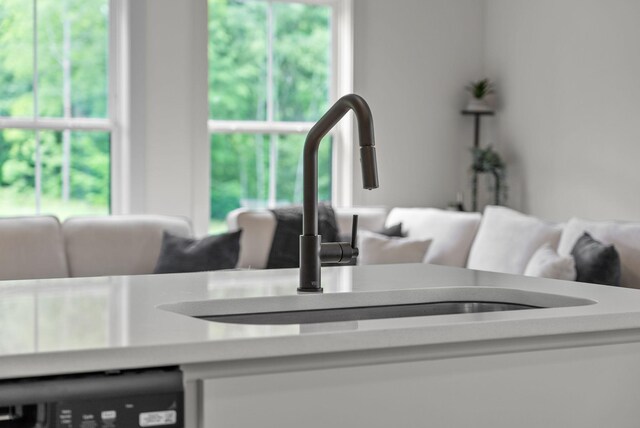 178 Dewberry Ct, Clarksville, TN 37042 - kitchen view of a sink, dishwashing machine, and light countertops