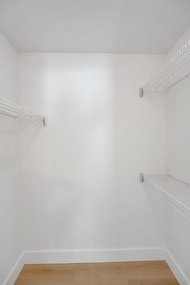 walk in closet with light wood finished floors